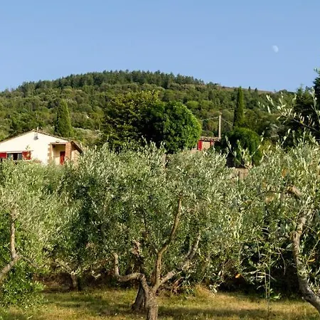 Fringuello - Sofora Ferienhaus Cortona